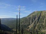 dsc01928.JPG