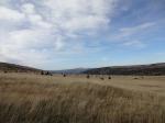 dsc01950.JPG