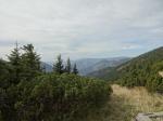 dsc01953.JPG