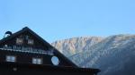 img-2770.jpg